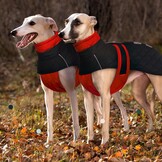 Warme Oranje Winterjas voor Windhonden (XL) - Waterafstotend & Reflecterend