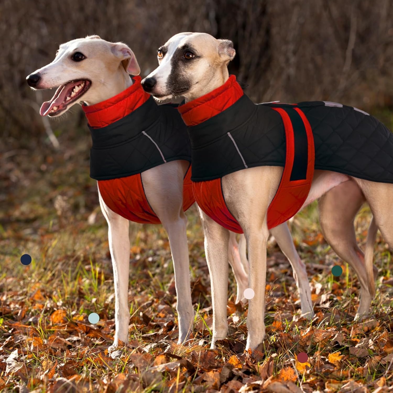 Warme Oranje Winterjas voor Windhonden (XL) - Waterafstotend & Reflecterend
