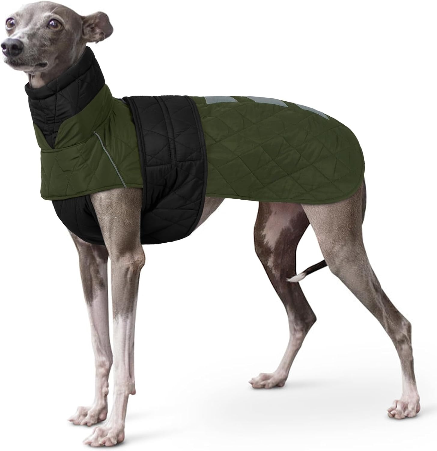 Warme Oranje Winterjas voor Windhonden (XL) - Waterafstotend & Reflecterend