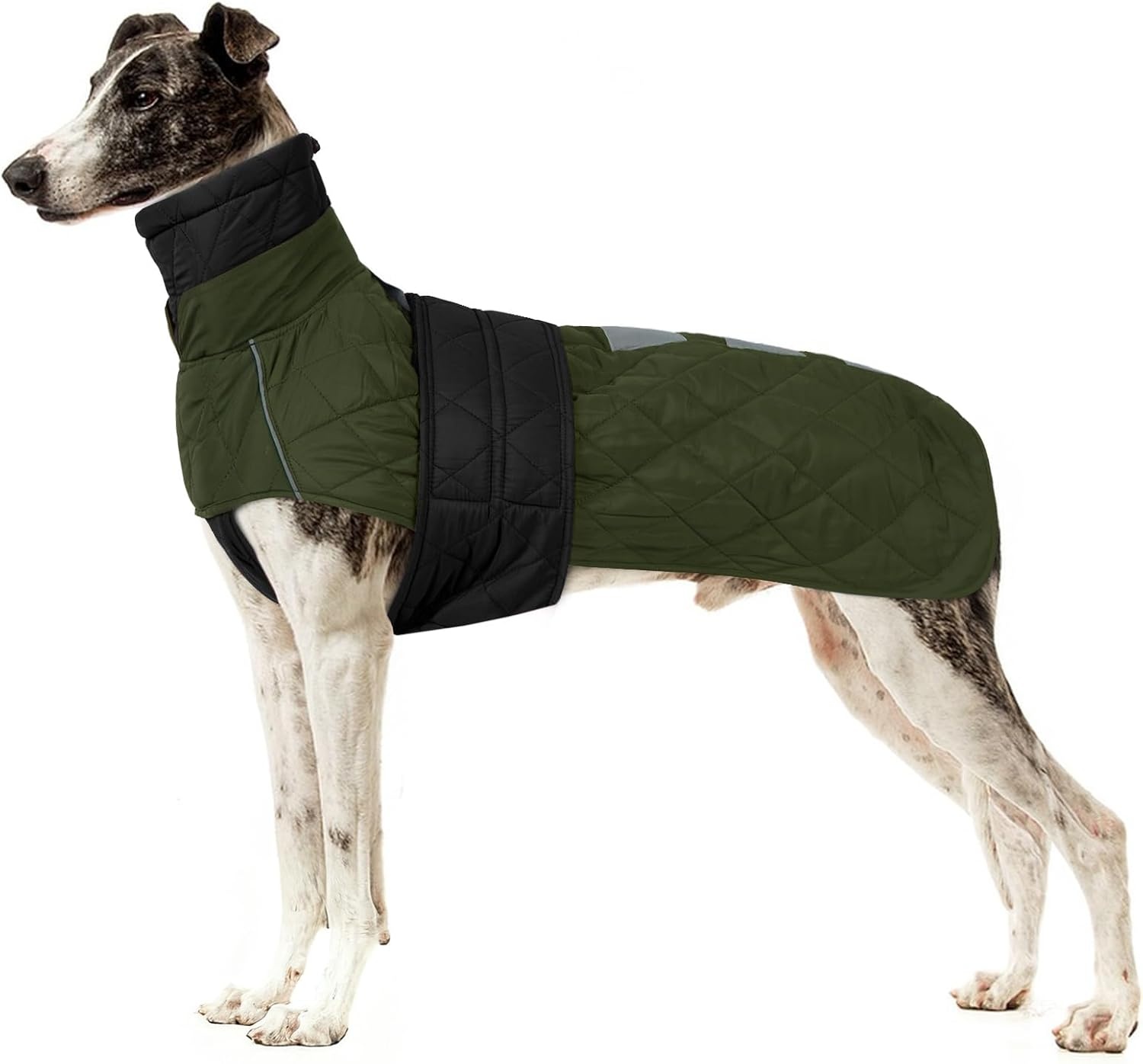 Warme Oranje Winterjas voor Windhonden (XL) - Waterafstotend & Reflecterend