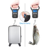 Digitale Bagage & Vis Weegschaal 50kg - 53% Korting