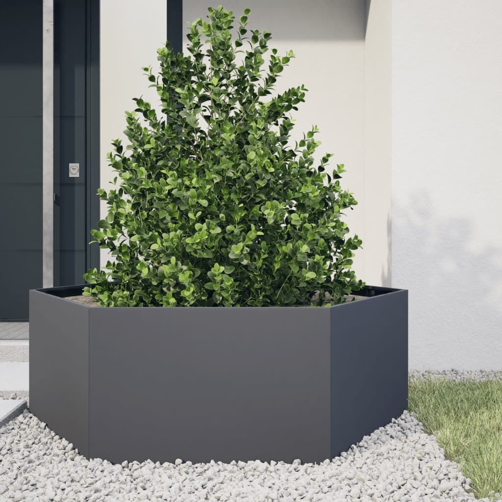 vidaXL Zeshoekige Plantenbak 138x120x45cm Staal Antraciet - 34% Korting
