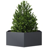 vidaXL Zeshoekige Plantenbak 138x120x45cm Staal Antraciet - 34% Korting