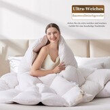 Donzen Dekbed 220x240 cm 4-Seizoenen | 2100g Vulgewicht | 35% Korting