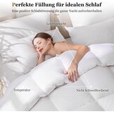 Donzen Dekbed 220x240 cm 4-Seizoenen | 2100g Vulgewicht | 35% Korting