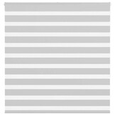 vidaXL Zebra rolgordijn 150x150 cm stofbreedte 145,9 cm lichtgrijs