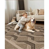 Vloerkleed voor Woonkamer Slaapkamer Eetkamer | 243x305cm Machinewasbaar Lage Stapel 4mm Dun Zacht Modern Geometrisch Anti-slip TPE Achtergrond Bruin