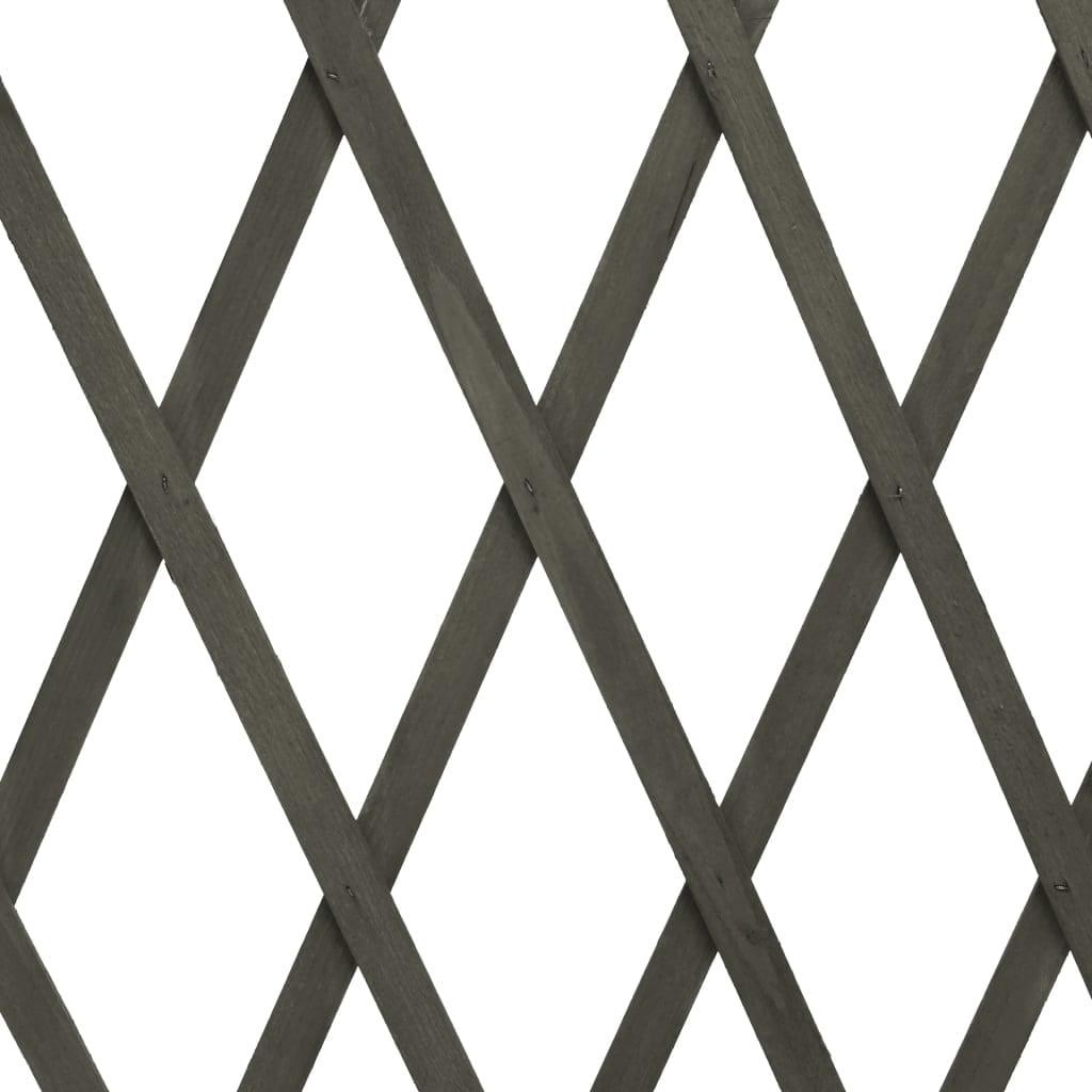 vidaXL Tuinlatwerk Grijs - 180x100cm - 33% Korting