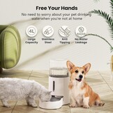 JUNSPOW 4L Kattenwaterdispenser met RVS Kom - Wit