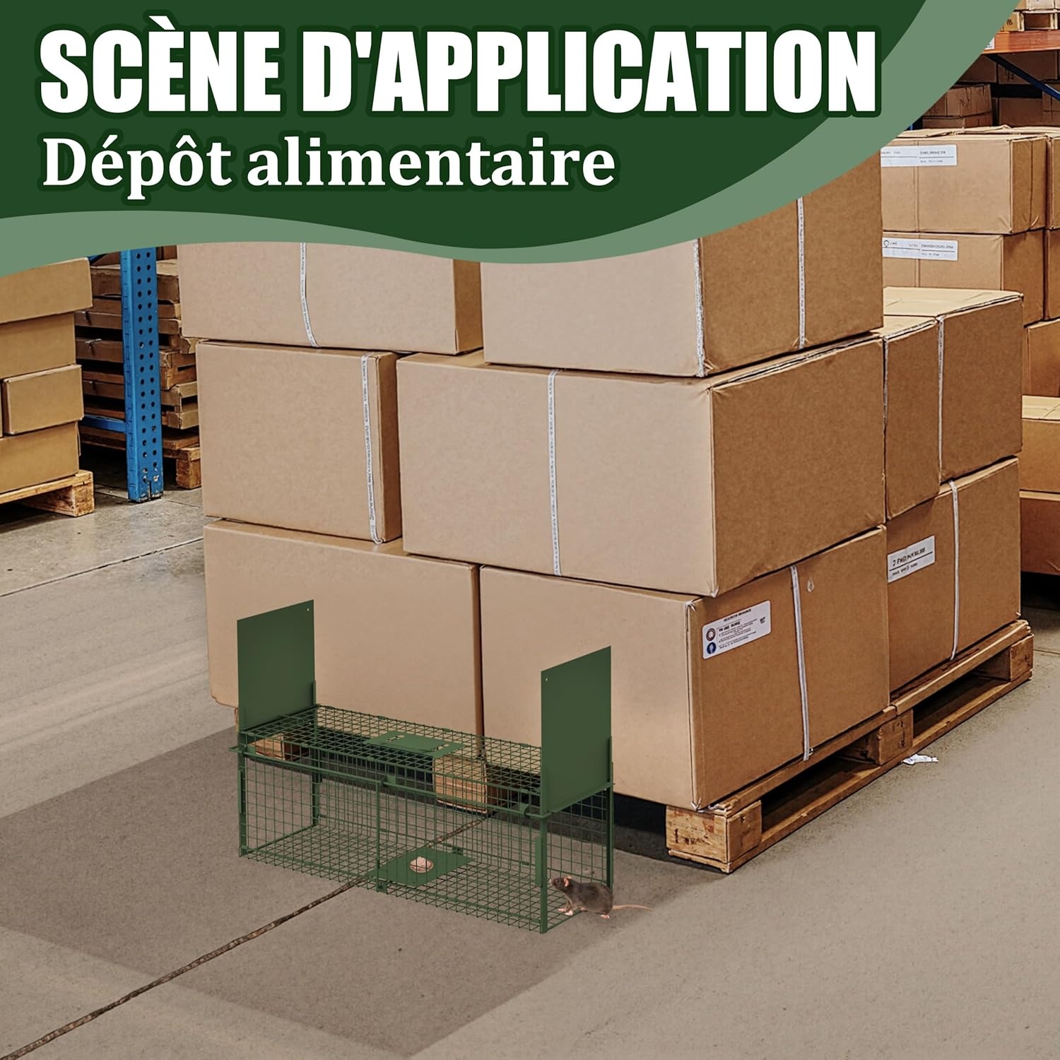Dierenval, Foldable herbruikbare animal trap, Muizenval, voor muis, knaagdieren, katten, vossen, wasbeer, weasel vangst,vangkooi, dierenvanger vanger-Dubbele deur-80 x 26 x 26 CM