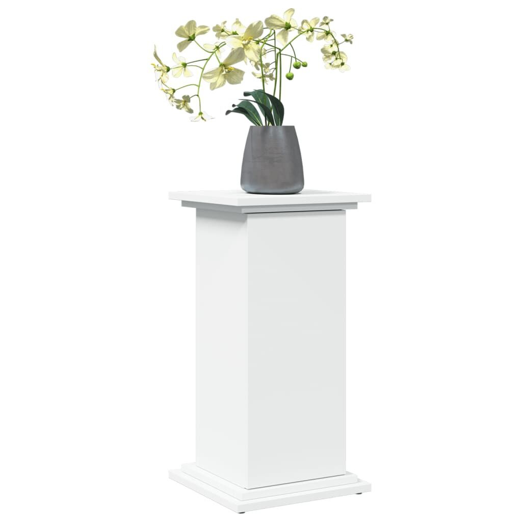 Opbergkast met 2 vakken - Wit Bewerkt Hout - 31x30x60 cm