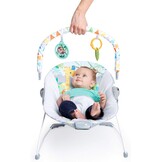 Bright Starts Safari Fun - Vibrating Bouncer with Toy bar