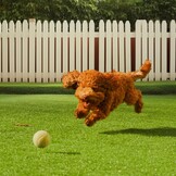 Kunstgras Grastapijt 153x305 cm, 35mm poolhoogte - 35% Korting!