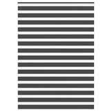 vidaXL Zebra rolgordijn 155x200 cm stofbreedte 150,9 cm zwart