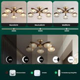 Moderne Plafondlamp Walnoothout met 5xBronzen LED, Dimbaar 3000K-6000K voor Woonkamer, Slaapkamer, Keuken, Eetkamer
