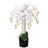 Kunstorchidee met Pot 75cm Wit - 34% Korting
