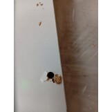 Cd-kast Wit 21x20x88cm Bewerkt Hout - 59% Korting