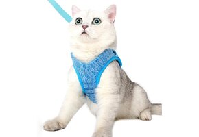 Kattentuigje met Lijn - Lichtgewicht & Ontsnappingsvrij - 57% Korting