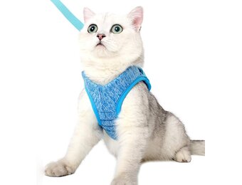LIANZIMAU Katentuigje met Lijn - Ultra Licht, Ontsnappingsvrij, Verstelbaar, Zacht Mesh Vest voor Kittens en Puppy's