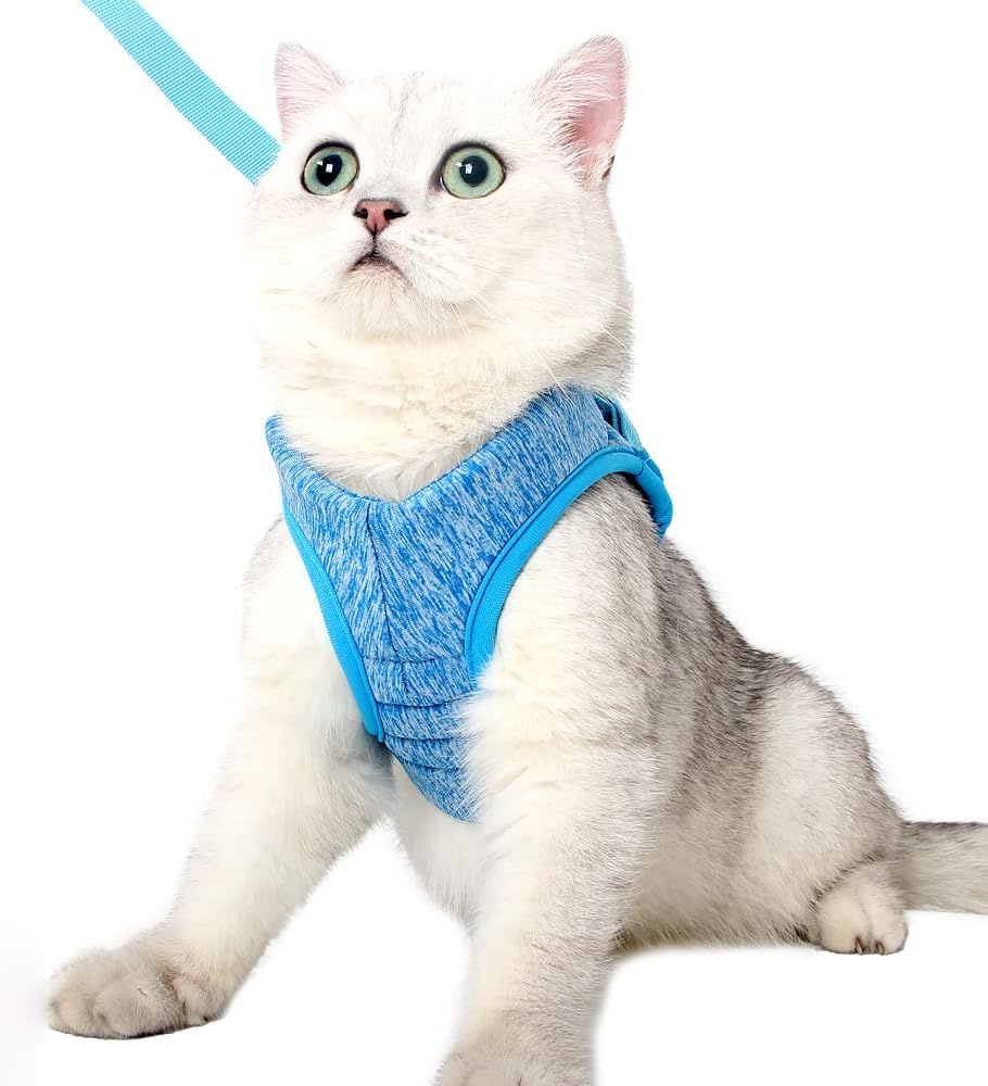 LIANZIMAU Katentuigje met Lijn - Ultra Licht, Ontsnappingsvrij, Verstelbaar, Zacht Mesh Vest voor Kittens en Puppy's