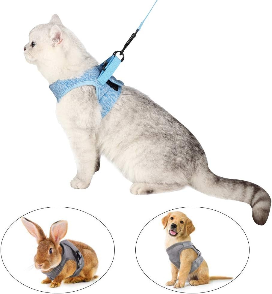 LIANZIMAU Katentuigje met Lijn - Ultra Licht, Ontsnappingsvrij, Verstelbaar, Zacht Mesh Vest voor Kittens en Puppy's