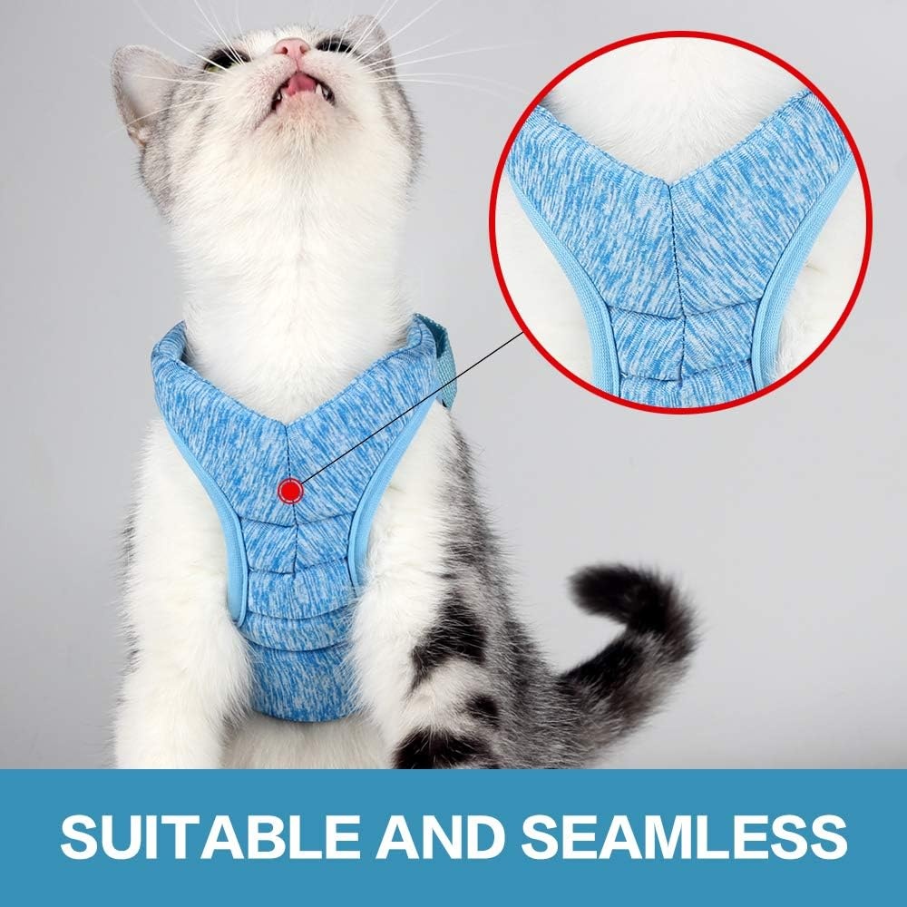 LIANZIMAU Katentuigje met Lijn - Ultra Licht, Ontsnappingsvrij, Verstelbaar, Zacht Mesh Vest voor Kittens en Puppy's