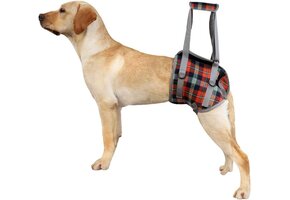 Hondenloophulp XL - Ondersteuning Rug & Voorpoten met 48% Korting