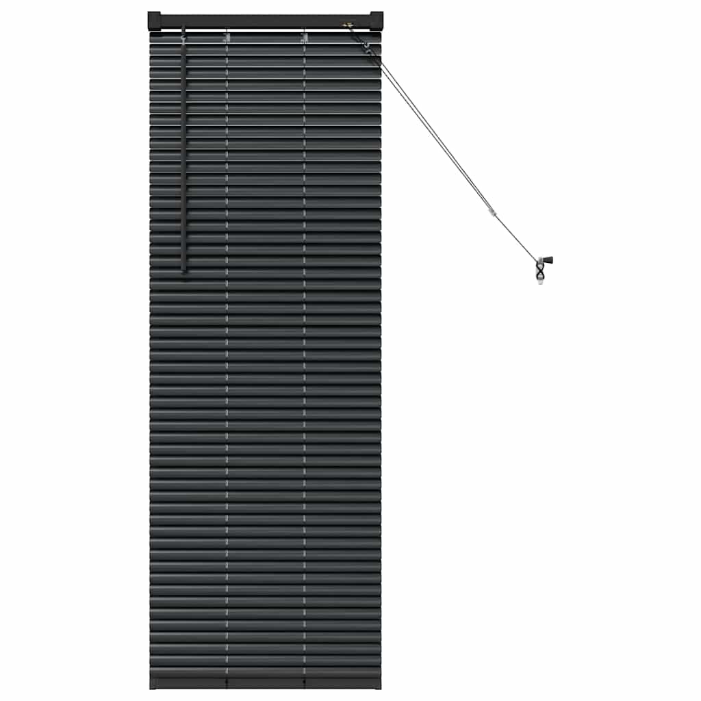 VidaXL Raamblind met Gordijnen Zwart Aluminium - 73% Korting