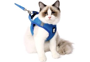 Kattenharnas & Leash Set Puppy Kitten - Lichtgewicht & Reflecterend (57% Korting)