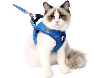 Lianzimau Kattenharnas met Leash - Lichtgewicht, Ontsnappingsproof en Verstelbaar Mesh Vest voor Puppy's en Kittens