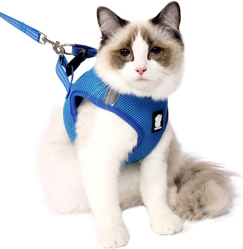 Lianzimau Kattenharnas met Leash - Lichtgewicht, Ontsnappingsproof en Verstelbaar Mesh Vest voor Puppy's en Kittens
