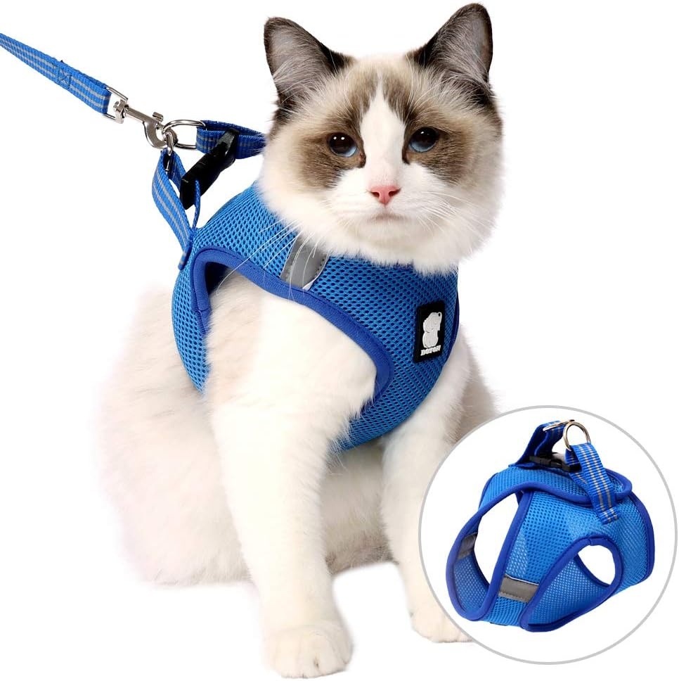 Lianzimau Kattenharnas met Leash - Lichtgewicht, Ontsnappingsproof en Verstelbaar Mesh Vest voor Puppy's en Kittens