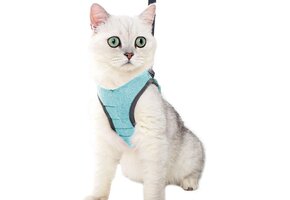 Lichtgewicht Kattenharnas & Lijn, Maat L Groen - 44% Korting