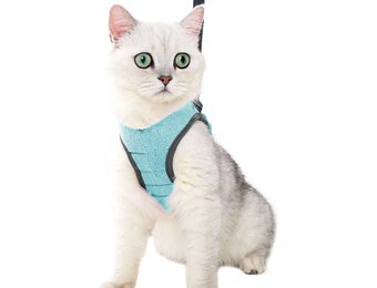 LIANZIMAU Harnas en Lijn Set voor Katten - Lichtgewicht & Ontsnappingsvrij - Maat L - Nieuw Groen