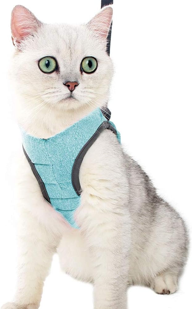 LIANZIMAU Harnas en Lijn Set voor Katten - Lichtgewicht & Ontsnappingsvrij - Maat L - Nieuw Groen