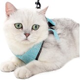 LIANZIMAU Harnas en Lijn Set voor Katten - Lichtgewicht & Ontsnappingsvrij - Maat L - Nieuw Groen