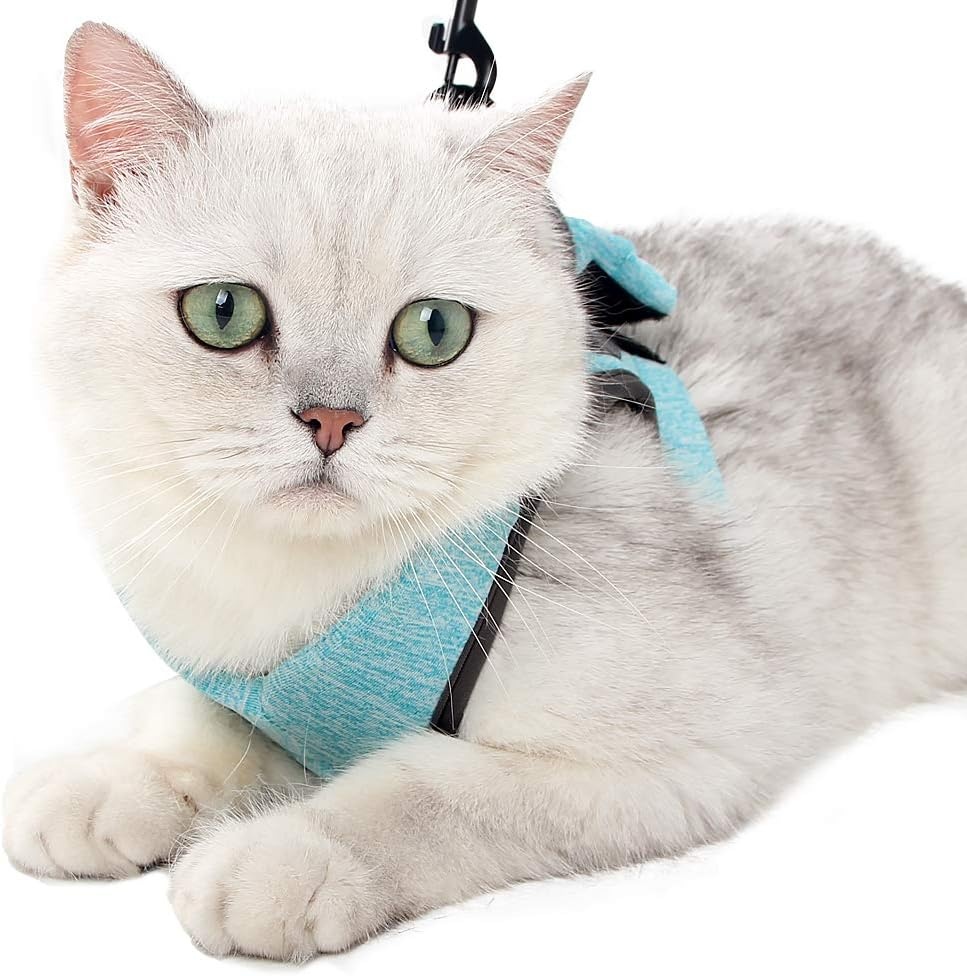 LIANZIMAU Harnas en Lijn Set voor Katten - Lichtgewicht & Ontsnappingsvrij - Maat L - Nieuw Groen