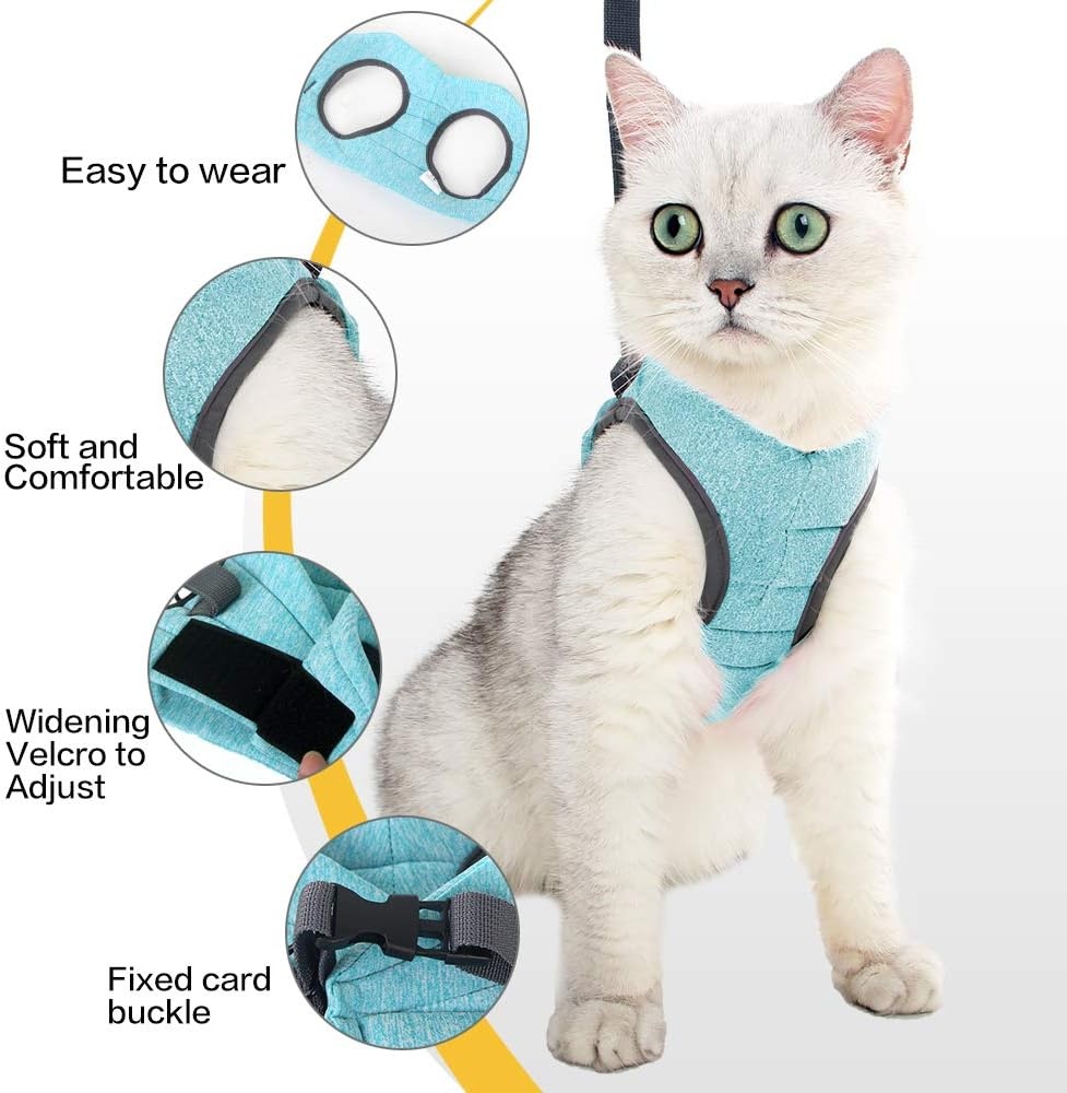 LIANZIMAU Harnas en Lijn Set voor Katten - Lichtgewicht & Ontsnappingsvrij - Maat L - Nieuw Groen