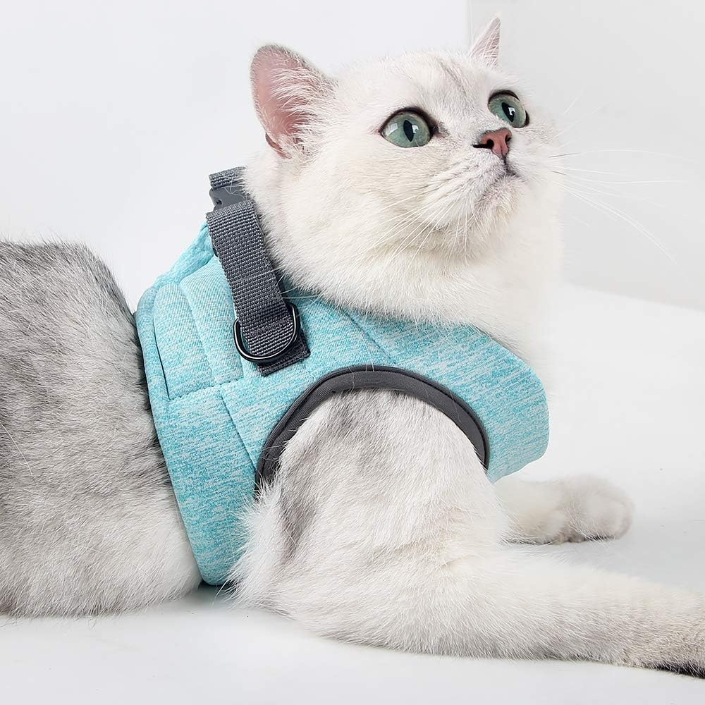 LIANZIMAU Harnas en Lijn Set voor Katten - Lichtgewicht & Ontsnappingsvrij - Maat L - Nieuw Groen