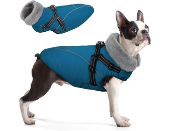 Queenmore Hondenjas voor grote honden, warm, waterdicht, 3-laagse uitvoering, hondenwinterjas voor windhond, labrador, golden retriever (coelineblauw, XL)