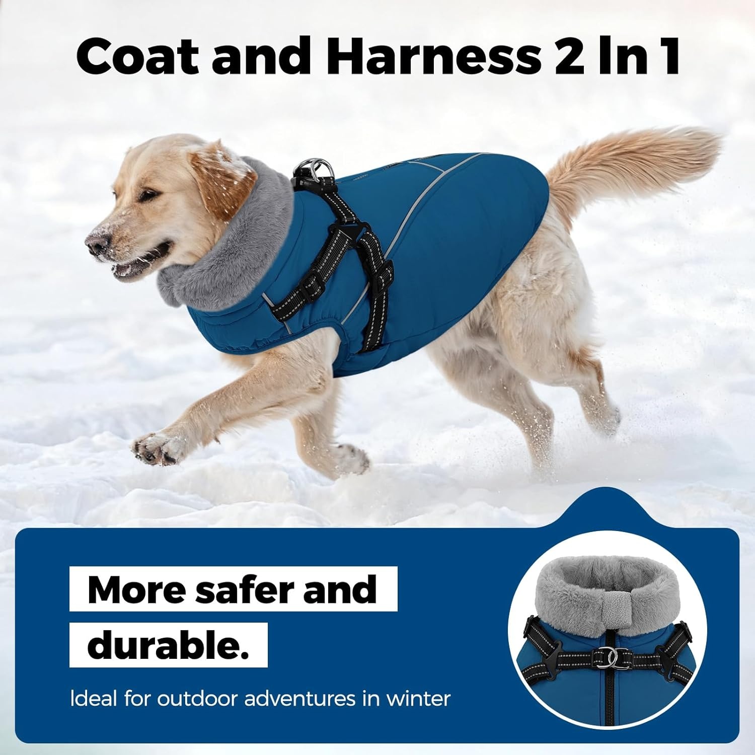 Queenmore Hondenjas voor grote honden, warm, waterdicht, 3-laagse uitvoering, hondenwinterjas voor windhond, labrador, golden retriever (coelineblauw, XL)