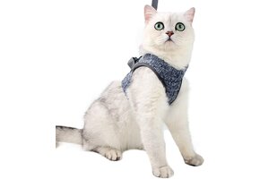 Ultralicht Katten Tuigje & Lijn - Ontsnappingsbestendig (60% Korting)