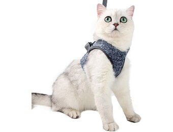 Lianzimau Katten Tuigje met Lijn - Ultralicht en Ontsnappingsbestendig
