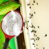 Elektrisch Insectenracket - Muggen & Vliegen - Binnen/Buiten - Rood