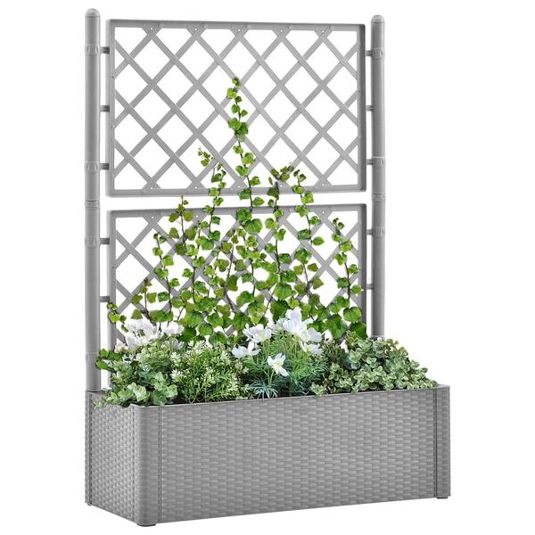 Verhoogde Plantenbak met Latwerk & Zelfbewatering - Grijs (35% Korting)