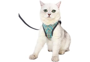 Lichtgewicht Kattenharnas met Lijn (27% Korting)