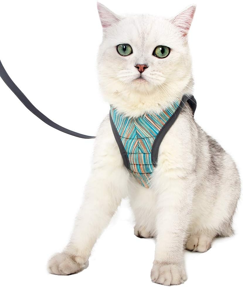 Lichtgewicht Kattenharnas met Lijn (27% Korting)
