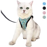 Lichtgewicht Kattenharnas met Lijn (27% Korting)
