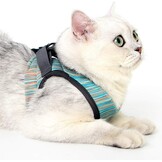 Lichtgewicht Kattenharnas met Lijn (27% Korting)