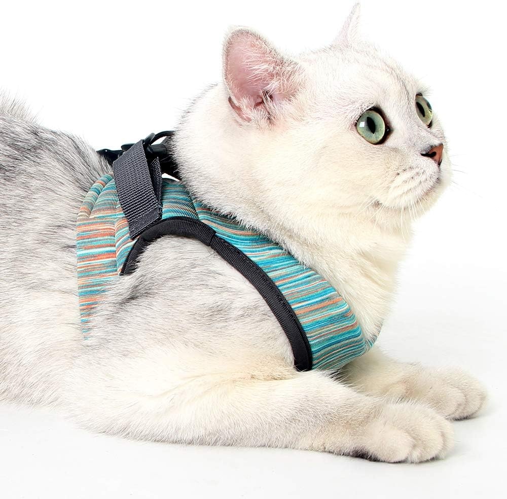 Lichtgewicht Kattenharnas met Lijn (27% Korting)